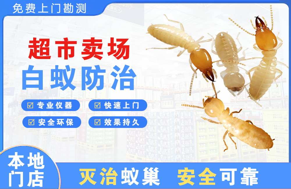 景德镇超市卖场白蚁防治