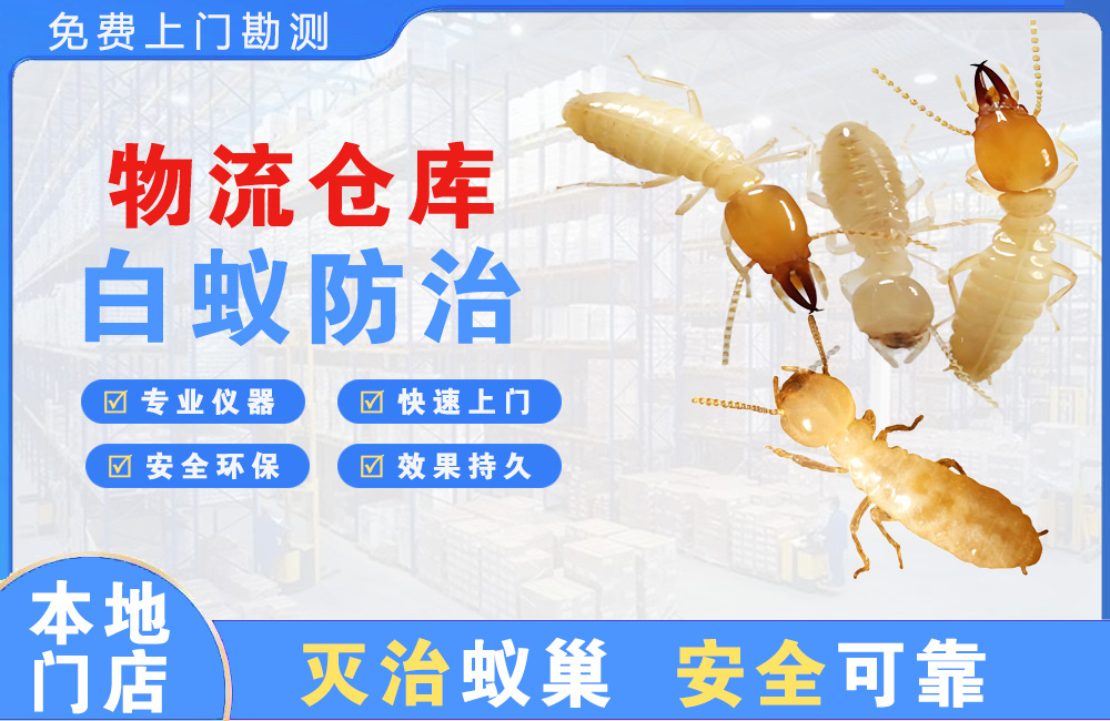 景德镇物流仓库白蚁防治