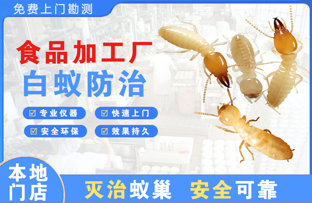 景德镇食品加工厂白蚁防治