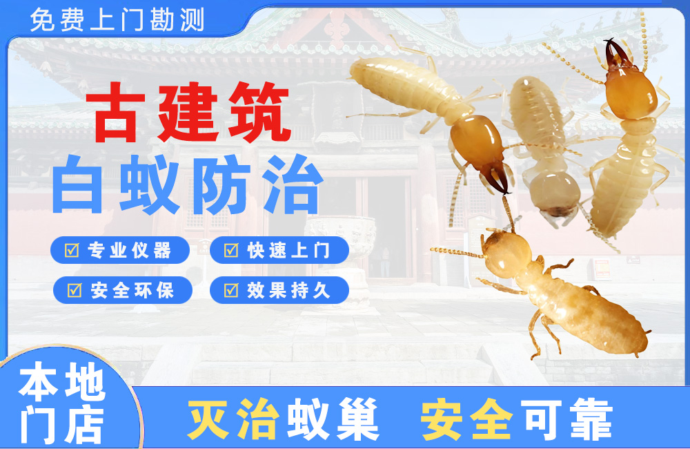 景德镇古建筑白蚁防治