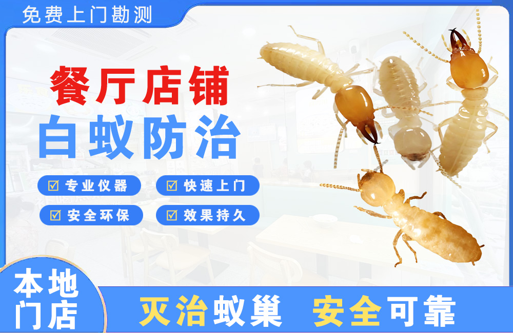 景德镇餐厅店铺白蚁防治